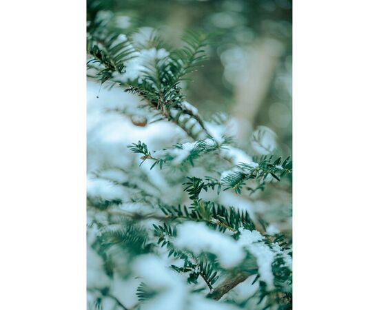 SIGMA 35mm f/1.2 DG II Art L-Mount