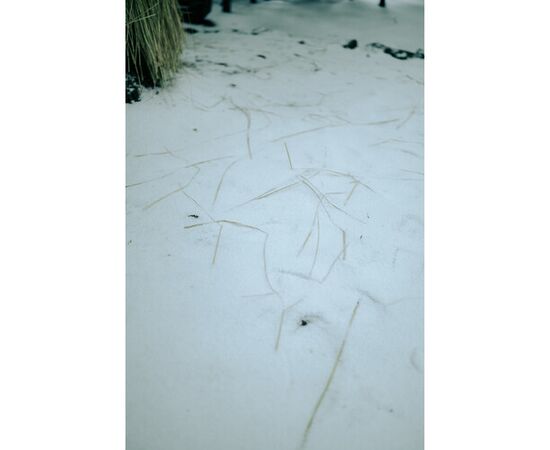 SIGMA 35mm f/1.2 DG II Art L-Mount