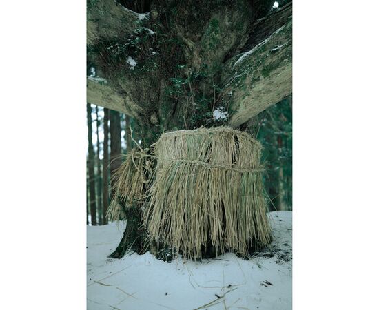 SIGMA 35mm f/1.2 DG II Art L-Mount