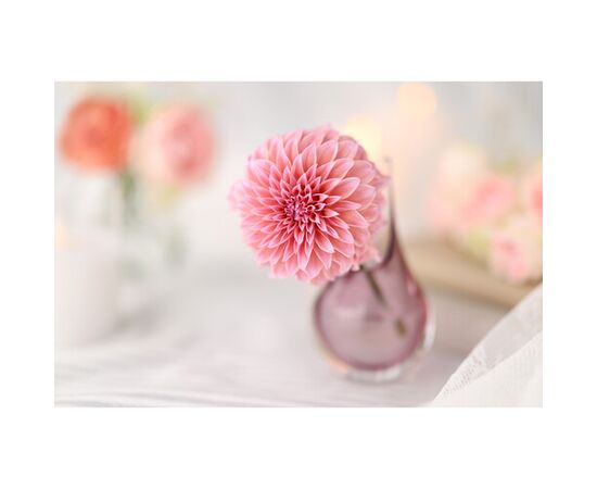 CANON RF 85mm f/1.4L VCM