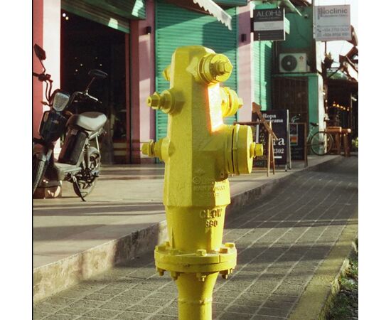 CANDIDO Rolo Cor 400 135 - 36 exp​