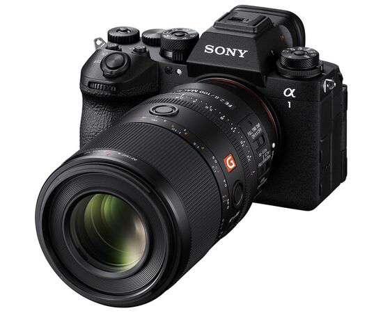 SONY FE 100mm f/2.8 Macro GM