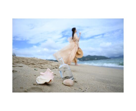 NIKON Nikkor Z 24-70mm f/2.8 S II