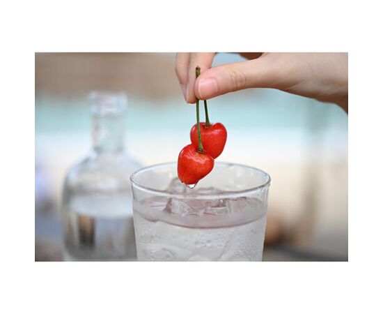 NIKON Nikkor Z 24-70mm f/2.8 S II