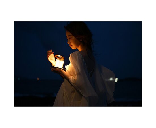 NIKON Nikkor Z 24-70mm f/2.8 S II