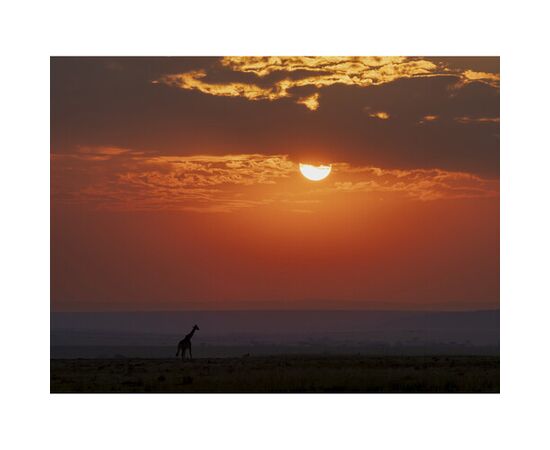 OM SYSTEM M.Zuiko Digital ED 50-200mm f/2.8 IS PRO