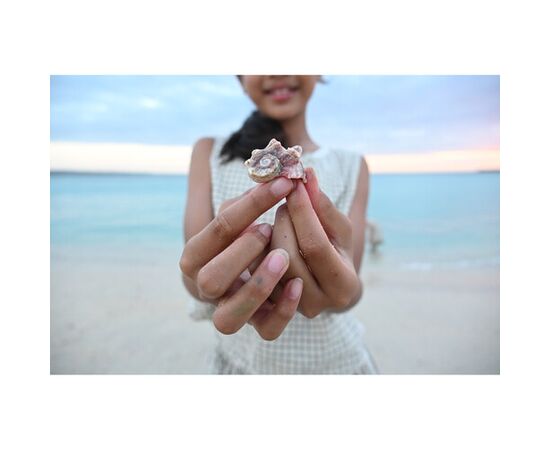 NIKON Nikkor Z DX 16-50mm f/2.8 VR