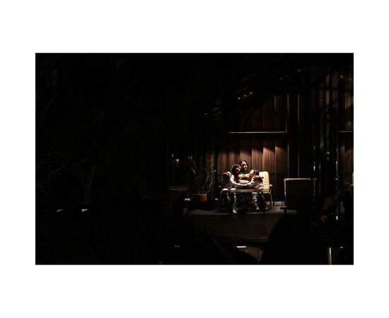 NIKON Nikkor Z DX 16-50mm f/2.8 VR