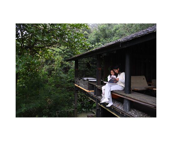 NIKON Nikkor Z DX 16-50mm f/2.8 VR