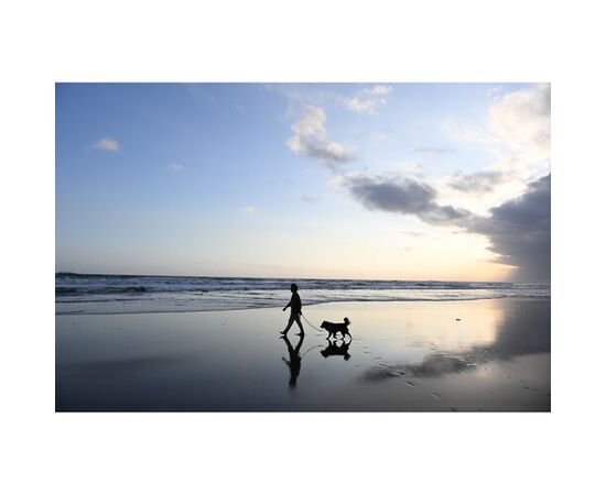 NIKON Nikkor Z DX 16-50mm f/2.8 VR