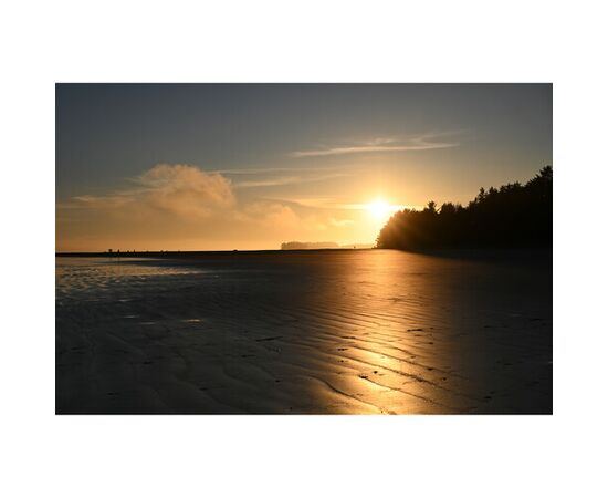 NIKON Nikkor Z DX MC 35mm f/1.7