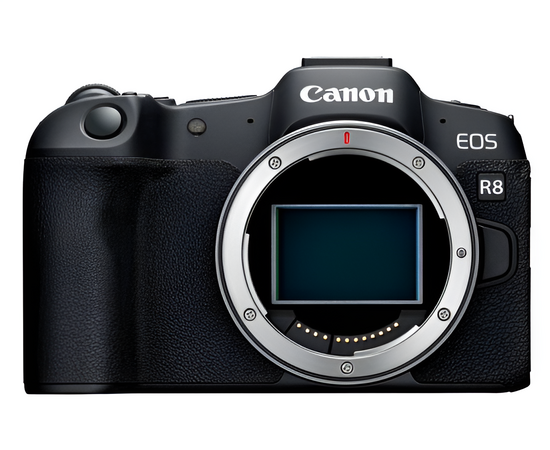 CANON EOS R8 + CANON RF 28-70mm f/2.8 IS STM