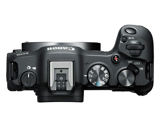 CANON EOS R8 + CANON RF 28-70mm f/2.8 IS STM