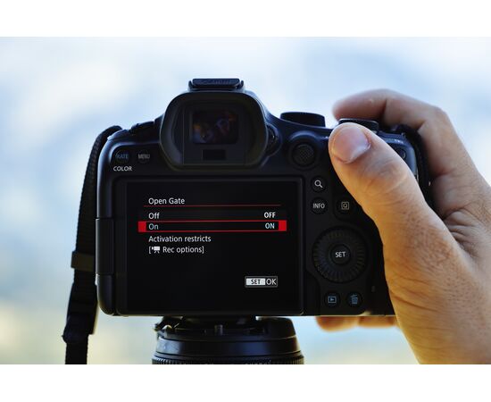 CANON EOS R6 Mark III + RF 24-105mm f/4-7.1 IS STM