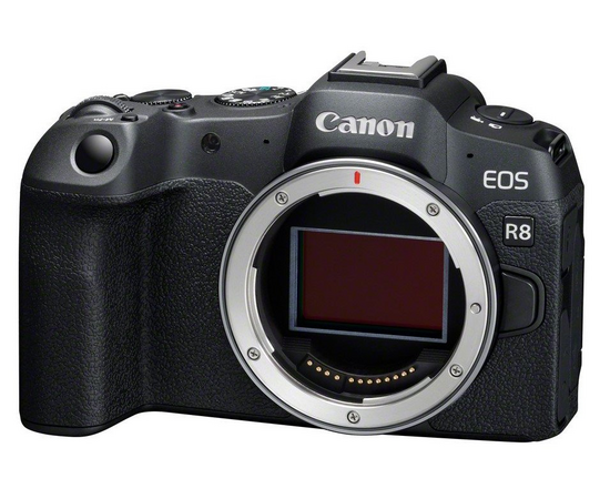 CANON EOS R8 + CANON RF 28-70mm f/2.8 IS STM