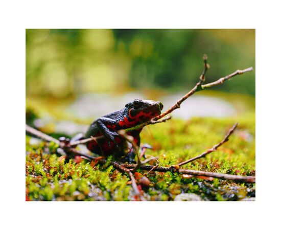 OM SYSTEM OM-5 Mark II Prata - Corpo