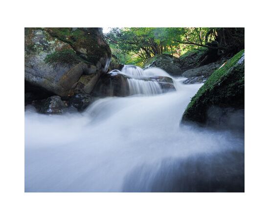 OM SYSTEM OM-5 Mark II Prata - Corpo