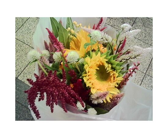 KODAK Charmera Câmera Digital Ultra-Compacta - Envio Aleatório