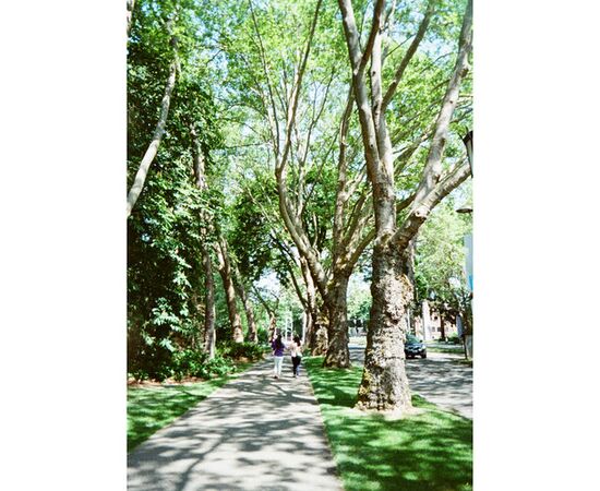 KODAK Câmera Fotográfica Analógica Half-Frame Reutilizável Ektar H35N - Verde
