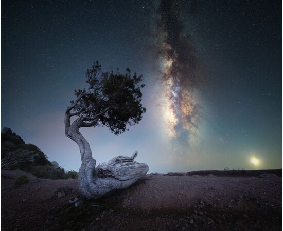 CANON RF 14mm f/1.4L VCM