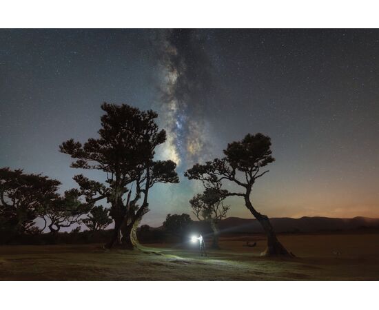 CANON RF 14mm f/1.4L VCM