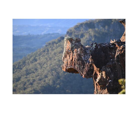 NIKON Nikkor Z 70-200mm f/2.8 V R S II
NIKON Nikkor Z 70-200mm f/2.8 V R S II