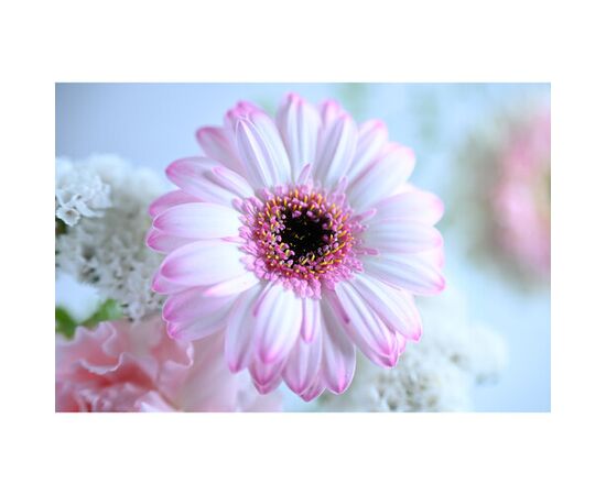 NIKON Nikkor Z 70-200mm f/2.8 V R S II