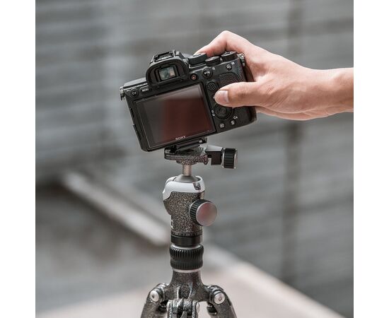 PGYTECH Sistema Quick Release Beetle Camera Clip V2