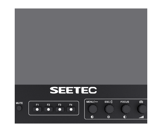SEETEC Monitor FS215-S4K 17.3"