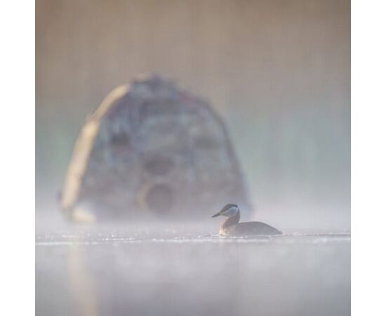 BUTEO PHOTO GEAR Abrigo Flutuante II Camuflado