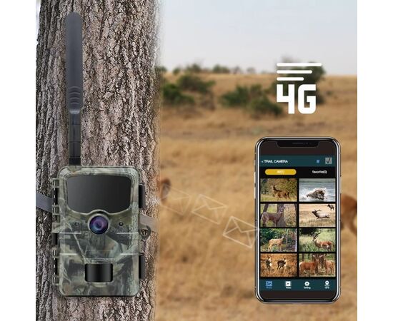 STEALTH GEAR Câmera Vida Selvagem 1080p 4G Hedgeho