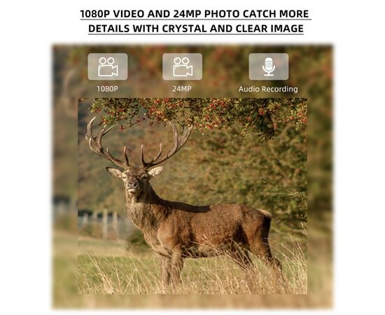 STEALTH GEAR Câmera Vida Selvagem 1080p 4G Hedgeho