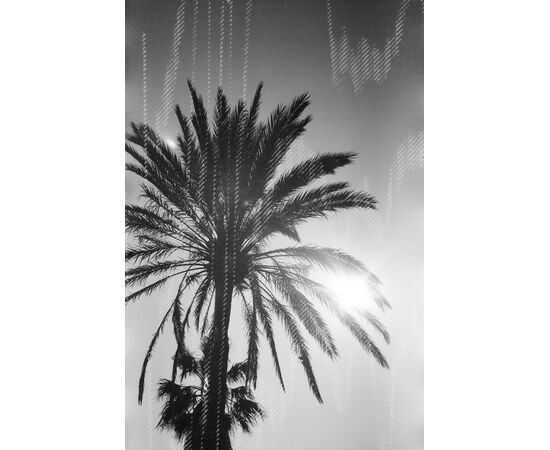 DUBBLEFILM Rolo 35mm Glitch 200 ISO - 36 Exposições