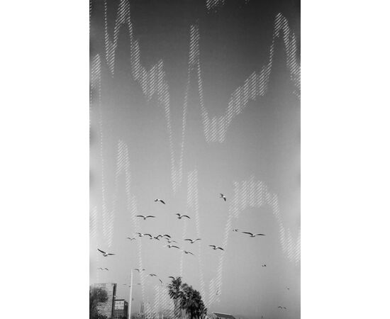 DUBBLEFILM Rolo 35mm Glitch 200 ISO - 36 Exposições