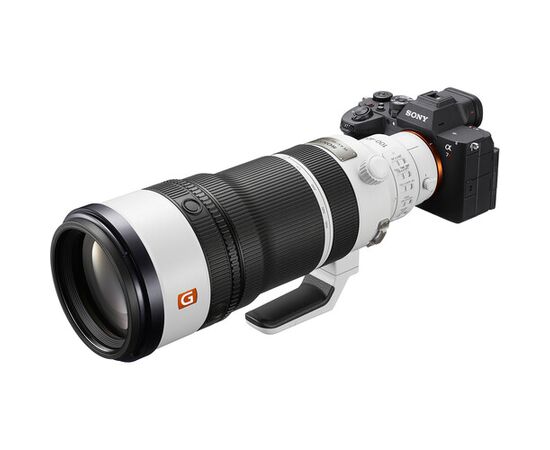 SONY FE 100-400 f/4.5 GM OSS