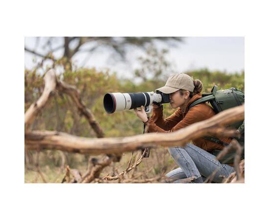 SONY FE 100-400 f/4.5 GM OSS