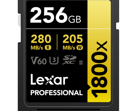 Professional GOLD Series SDXC 1800x 280MB/s Classe 10 U3 UHS-II - 256GB