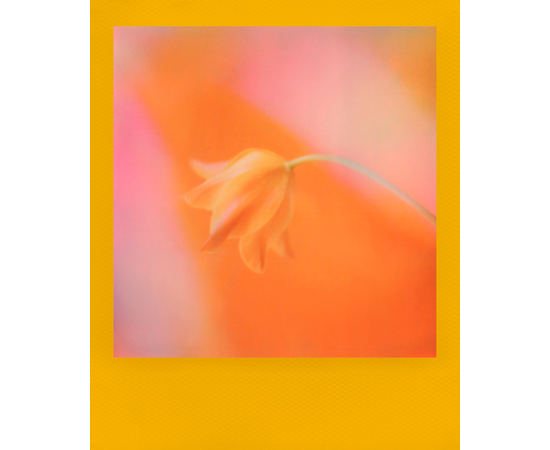 POLAROID Papel Fotográfico Color i-Type Film Molduras Coloridas - 8uni