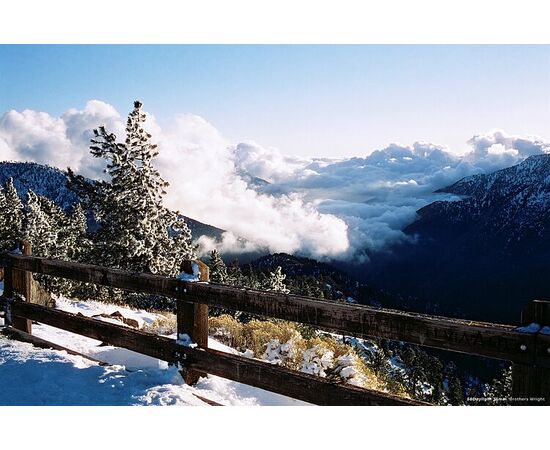 CINESTILL Rolo Cor 135 CineStill 50D - 36exp