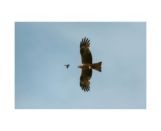 FUJIFILM Fujinon XF 400mm f/4.5 R LM OIS WR