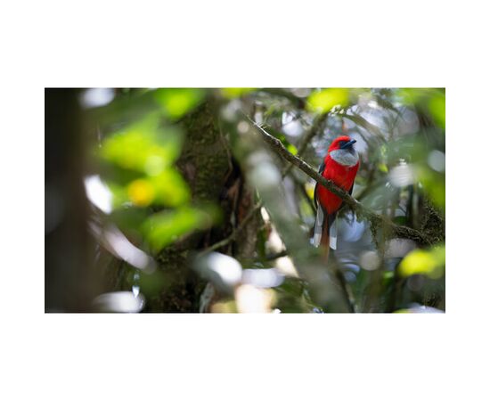 FUJIFILM Fujinon XF 400mm f/4.5 R LM OIS WR