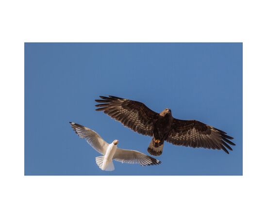 FUJIFILM Fujinon XF 400mm f/4.5 R LM OIS WR