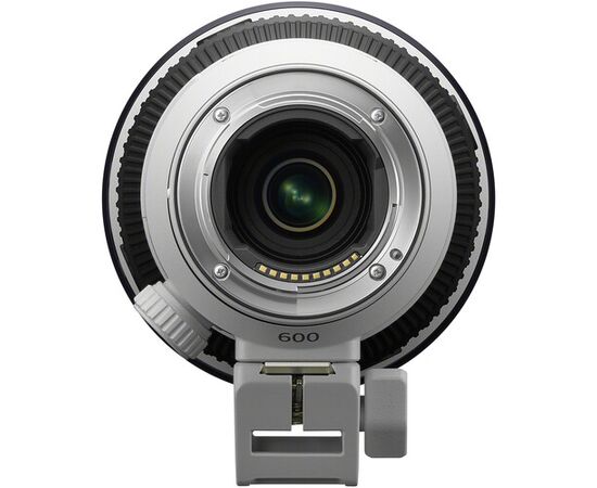 SONY FE 600mm f/6.3 GM OSS