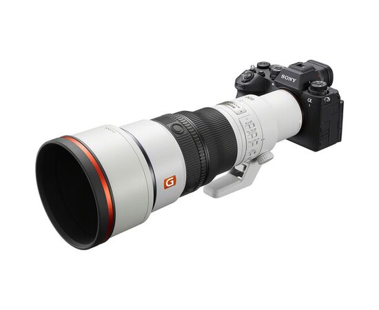 SONY FE 600mm f/6.3 GM OSS