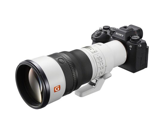 SONY FE 600mm f/6.3 GM OSS