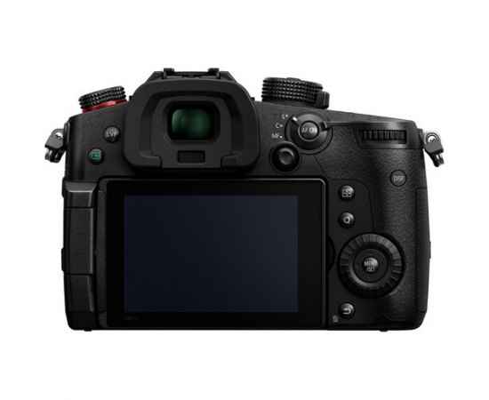 PANASONIC LUMIX DC-GH5 II + Leica DG Vario-Elmarit 12-60mm f/2.8-4 ASPH. POWER O.I.S