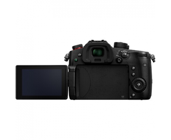 PANASONIC LUMIX DC-GH5 II + Leica DG Vario-Elmarit 12-60mm f/2.8-4 ASPH. POWER O.I.S