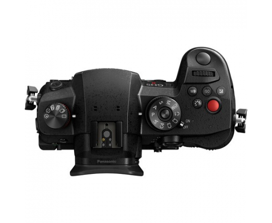 PANASONIC LUMIX DC-GH5 II + Leica DG Vario-Elmarit 12-60mm f/2.8-4 ASPH. POWER O.I.S