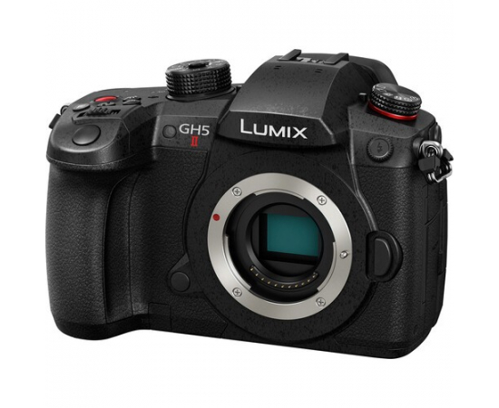 PANASONIC LUMIX DC-GH5 II + Leica DG Vario-Elmarit 12-60mm f/2.8-4 ASPH. POWER O.I.S