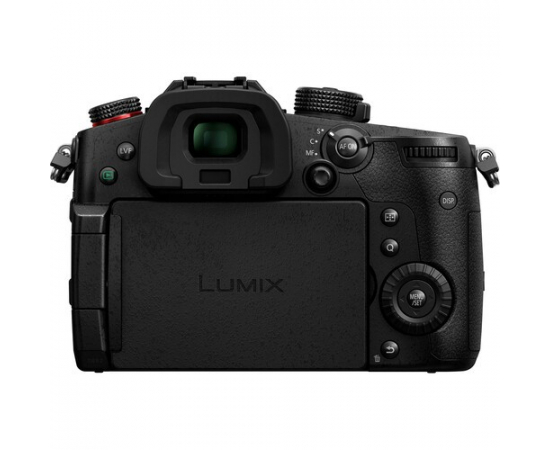 PANASONIC LUMIX DC-GH5 II + Leica DG Vario-Elmarit 12-60mm f/2.8-4 ASPH. POWER O.I.S